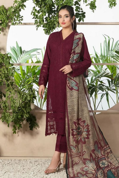 Dhanak 3PC With Wool Shawl DF-121